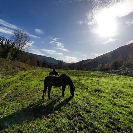 La Casella Antico Feudo Di Campagna Ficulle Eksteriør billede