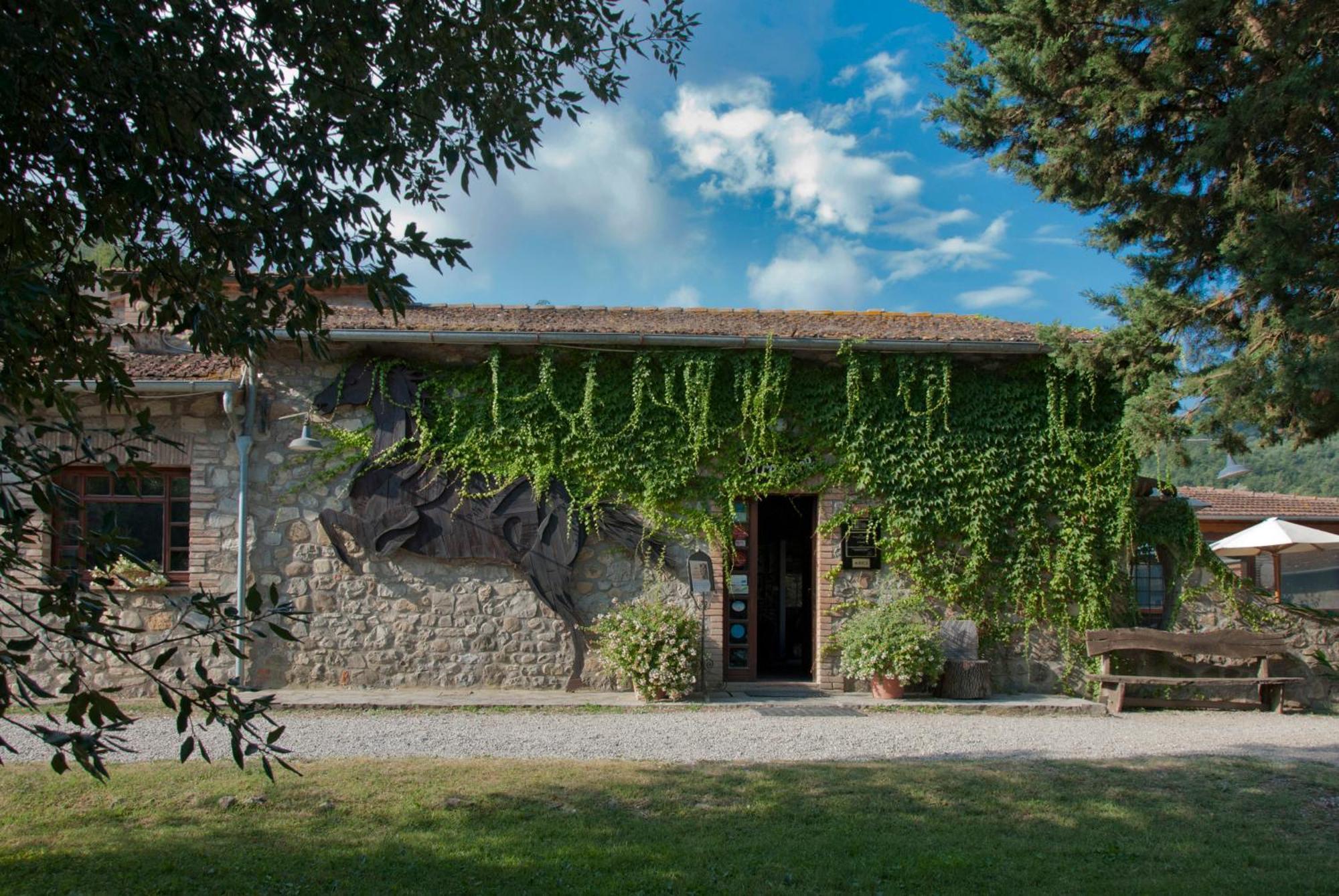 La Casella Antico Feudo Di Campagna Ficulle Eksteriør billede