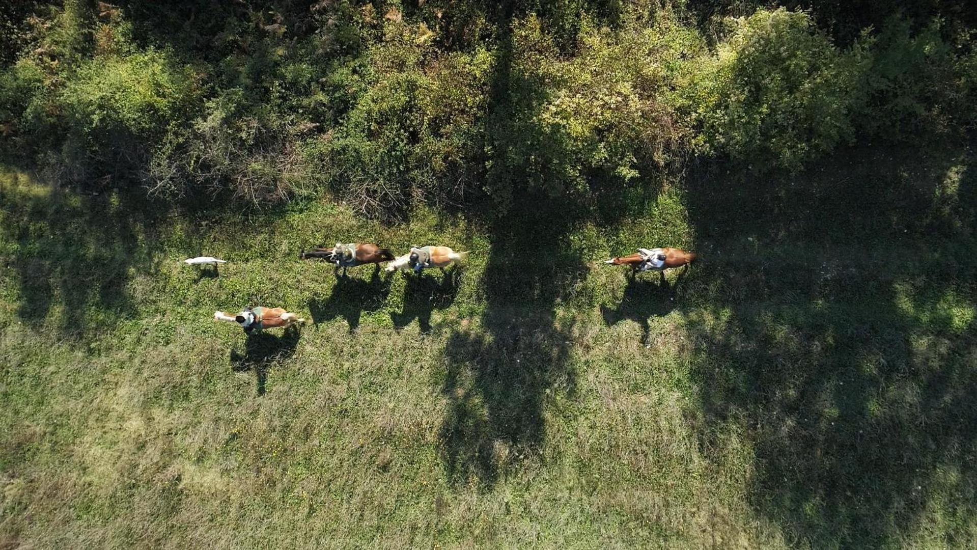La Casella Antico Feudo Di Campagna Ficulle Eksteriør billede