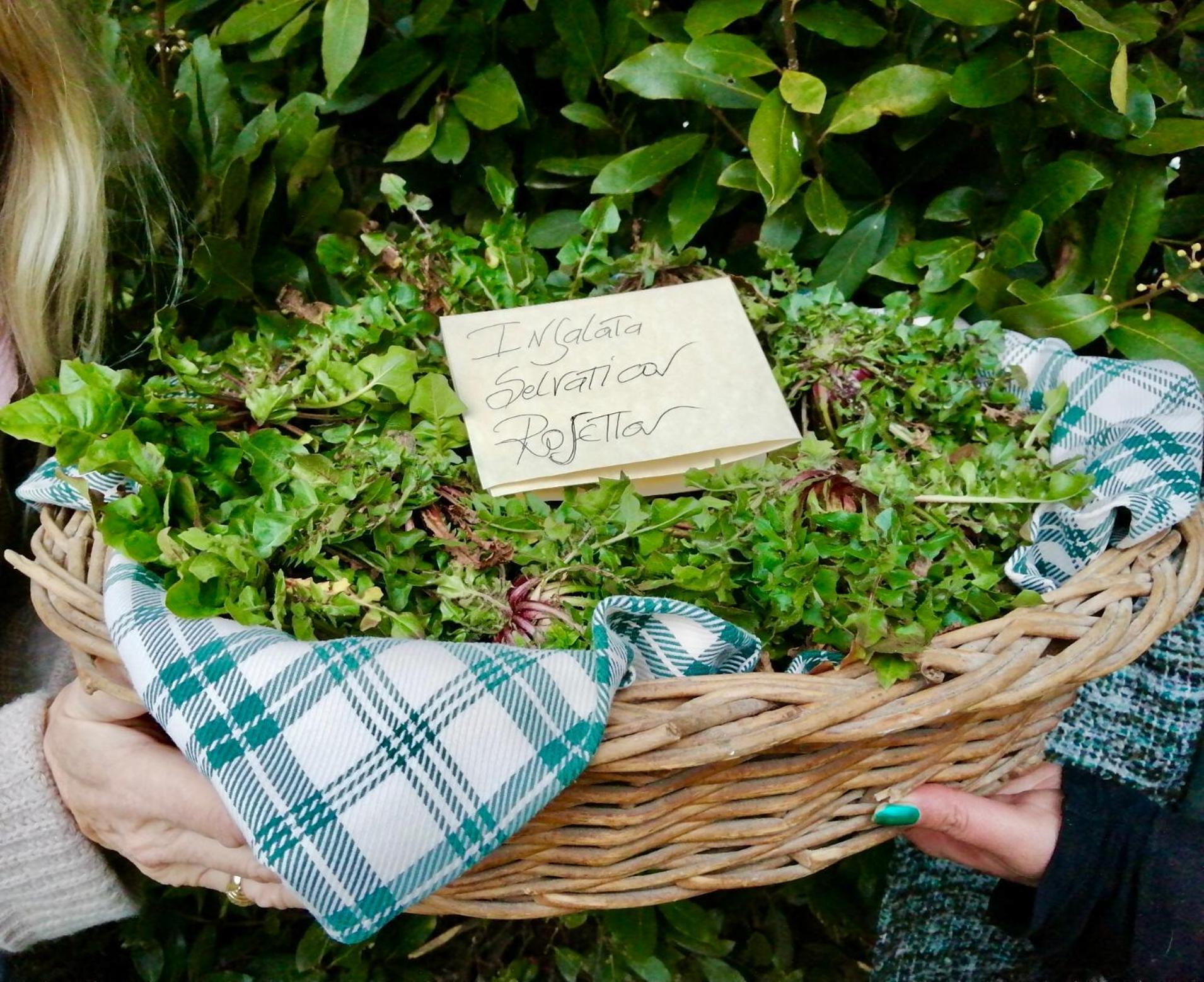 La Casella Antico Feudo Di Campagna Ficulle Eksteriør billede